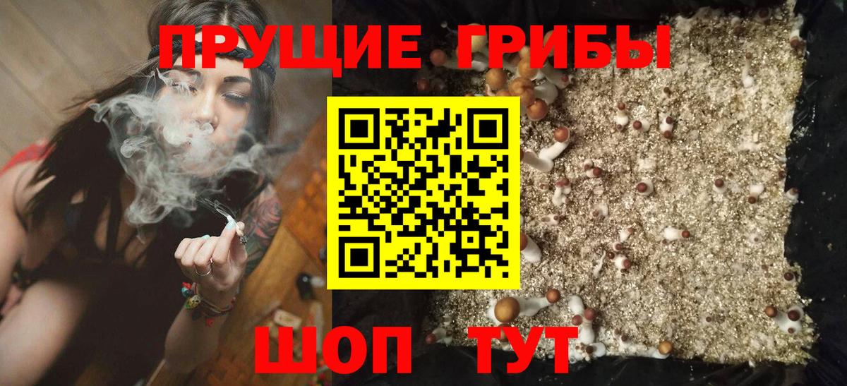 Гашиш  Коряжма  Конопля  ЭКСТАЗИ  Вейп ТГК  МЕФ   Вход с VPN 