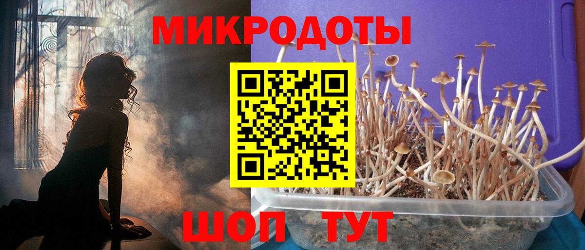 Галлюциногенные грибы мицелий  Вход с VPN  где можно купить   Коряжма 